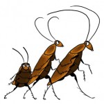 Astronomers: Stop fleeing like cockroaches to dark corners to observe!